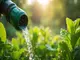 besseres-wasser-fuer-pflanzen-trinkwasserfilter-gartenschlauch-im-vergleich