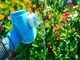 wasserfilter-fuer-den-gartenschlauch-vorteile-und-installation